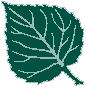 Plant Talk logo